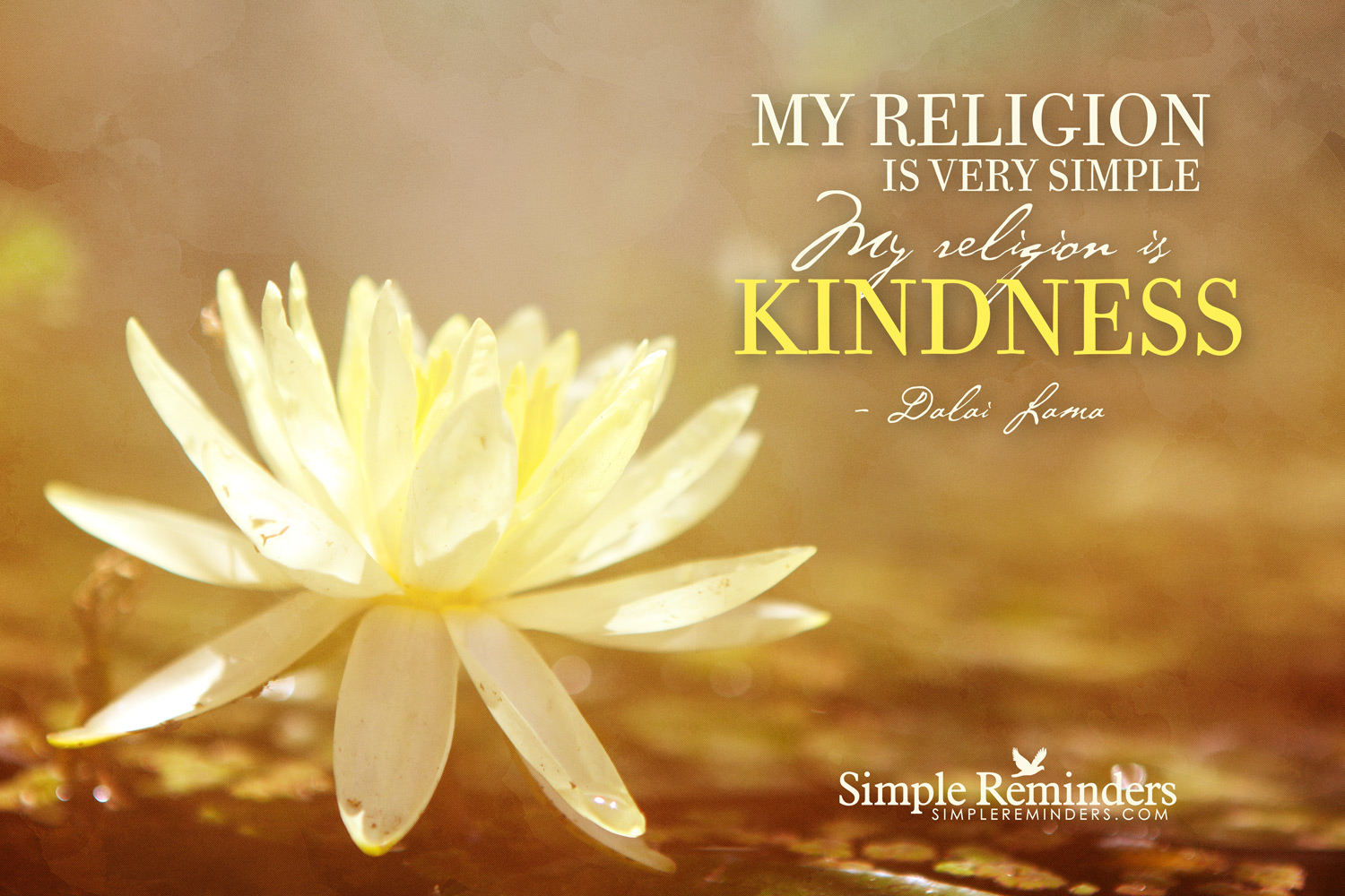 religion_kindness